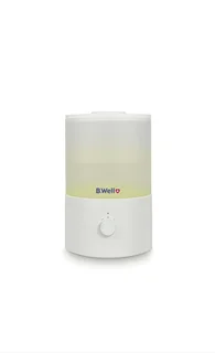 بخور سرد بی ول مدل B.Well PRO-10